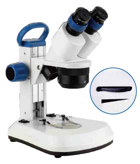 stereo microscope