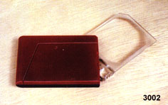 3002.jpg (13074 bytes)